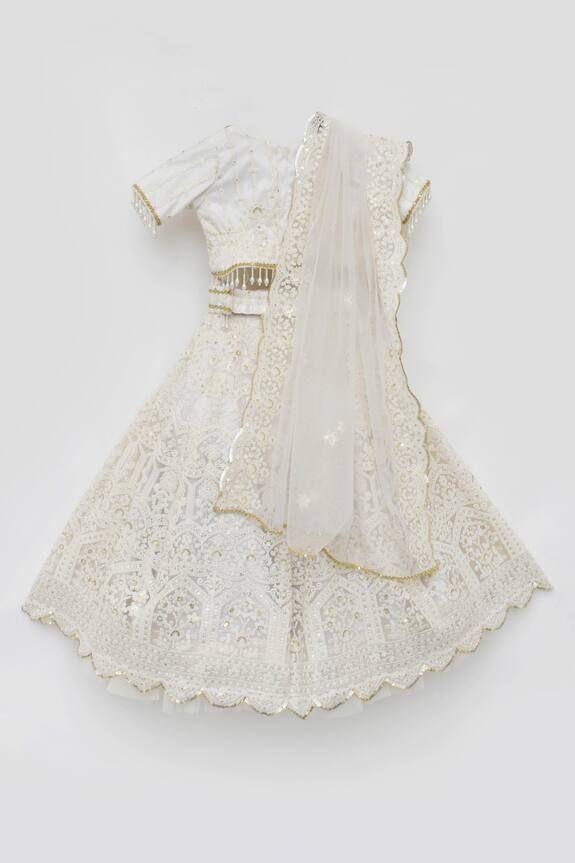 Ivory Embroidered Lehenga Choli with Dupatta